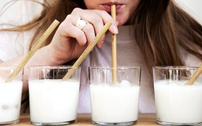 Garanteix la Traçabilitat Alimentària en Productes Lactis