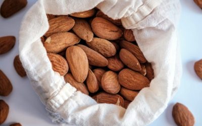 Control de la Traçabilitat en Proteïnes Alternatives
