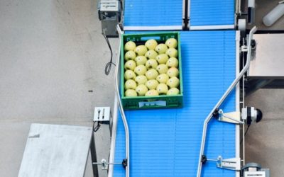 Què són els Estocs Mínims i Òptims a la Indústria Alimentària?