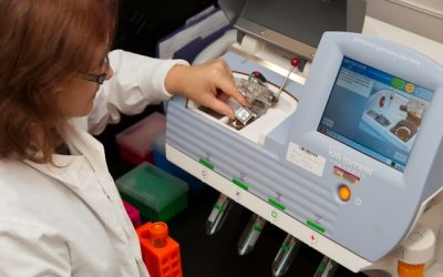 Com la Traçabilitat Alimentària Pot Ajudar a Prevenir Brots de Malalties