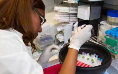 Anàlisi d’hormones i antibiòtics en la traçabilitat d’aliments