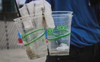 TOT sobre el Greenwashing a la Indústria Alimentària