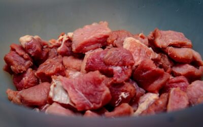 La Traçabilitat com a Eina per a la Prevenció d’E. Coli
