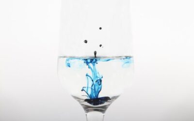 Traçabilitat als Colorants Alimentaris
