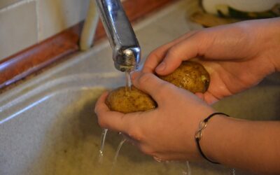 Quines són les etapes d’un control sanitari?
