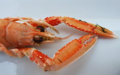 Precintes de seguretat per a Peix i Marisc
