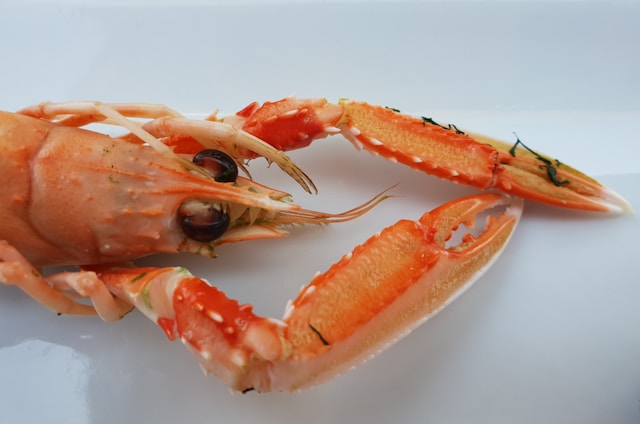 precintos de seguridad para pescado y marisco